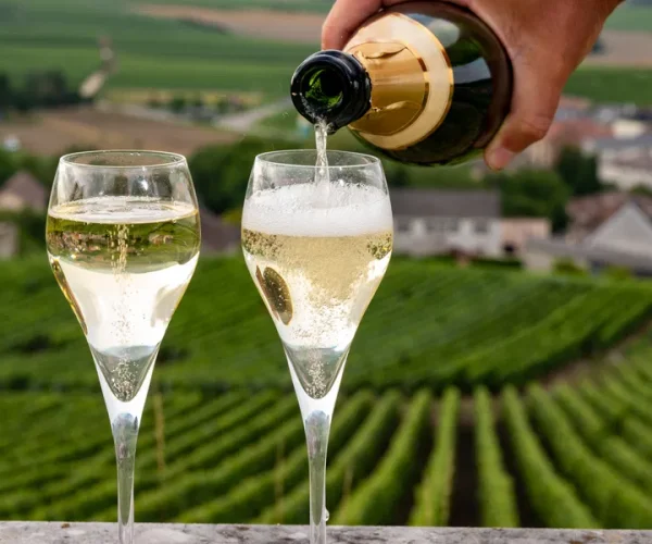 What is Sparkling Wine?