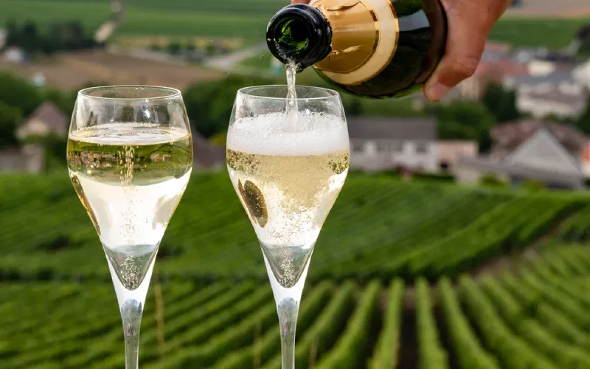 Sparkling Wine Vineyards Wine Pour